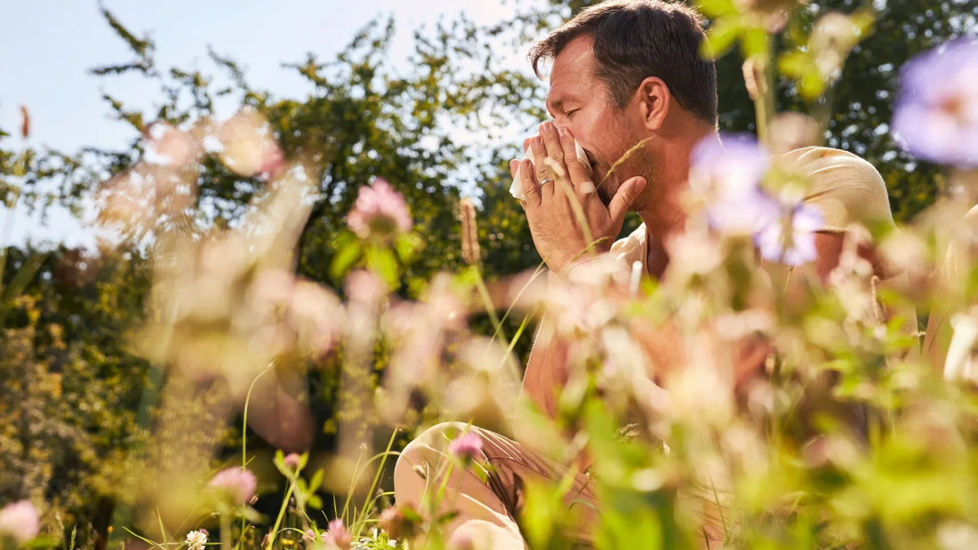 Hay Fever and Histamine