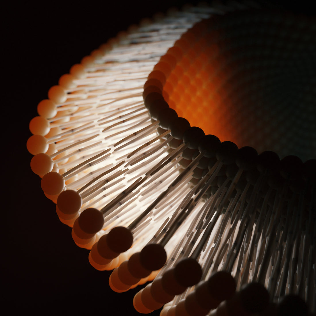 The lipolife masterclass series