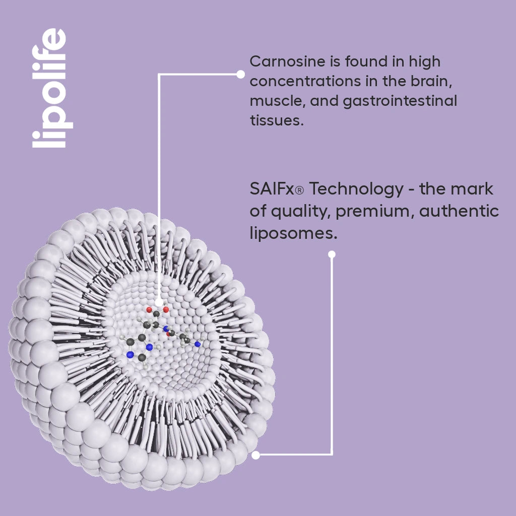 Liposomal Carnosine