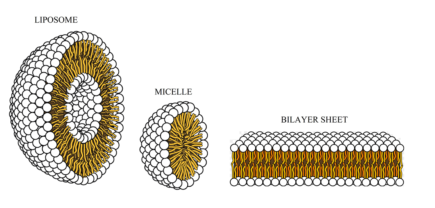 read Nonlinear Optimization Applications Using