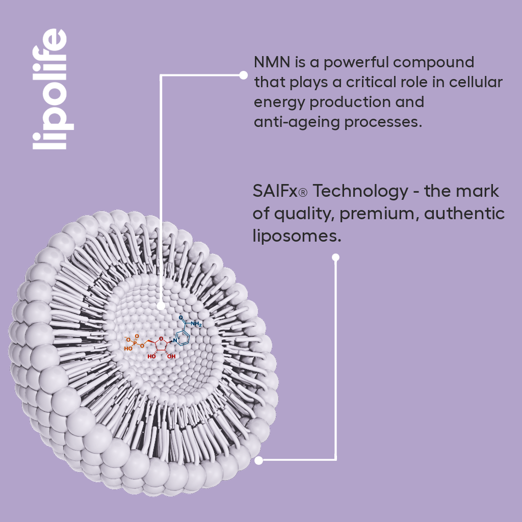 Liposomal NMN (Nicotinamide Mononucleotide)