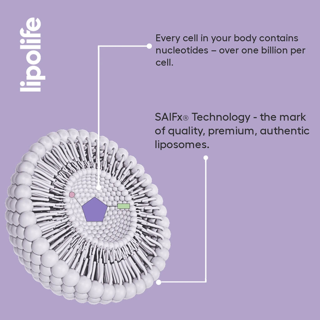 Liposomal Nucleotide Complex